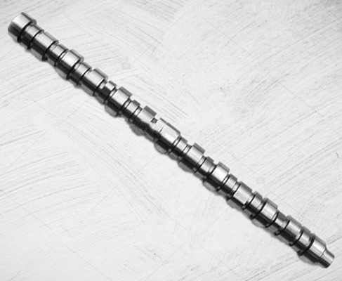 4004556 Cummins M11 Engine Camshaft