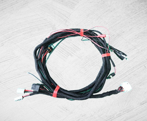 3164242 Cummins Harness