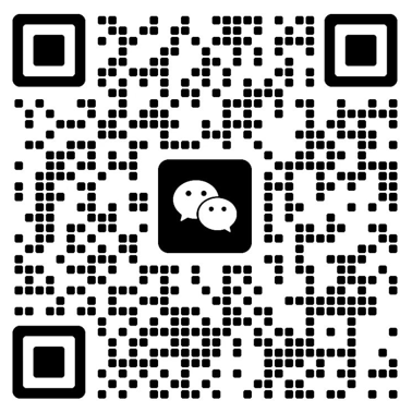 the qr code